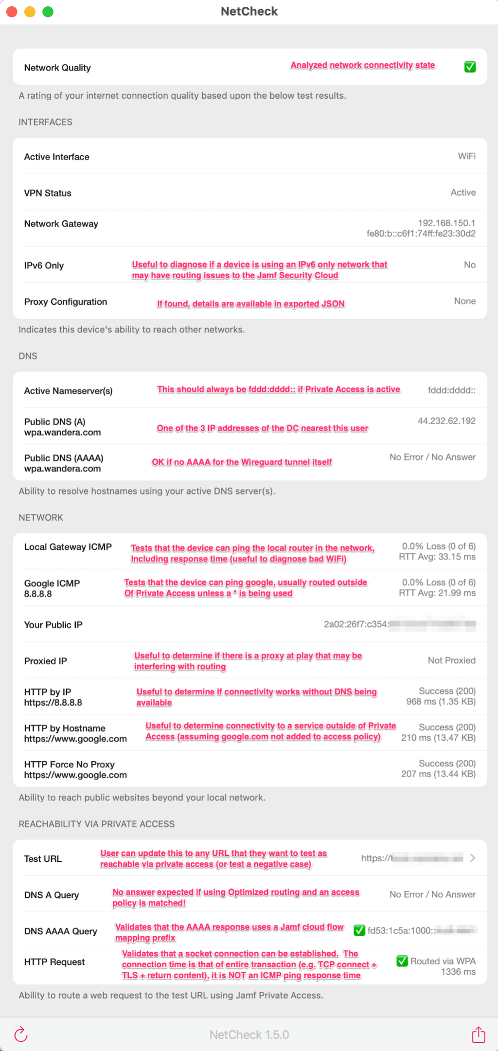 Sample Netcheck Results Diagnostic UI